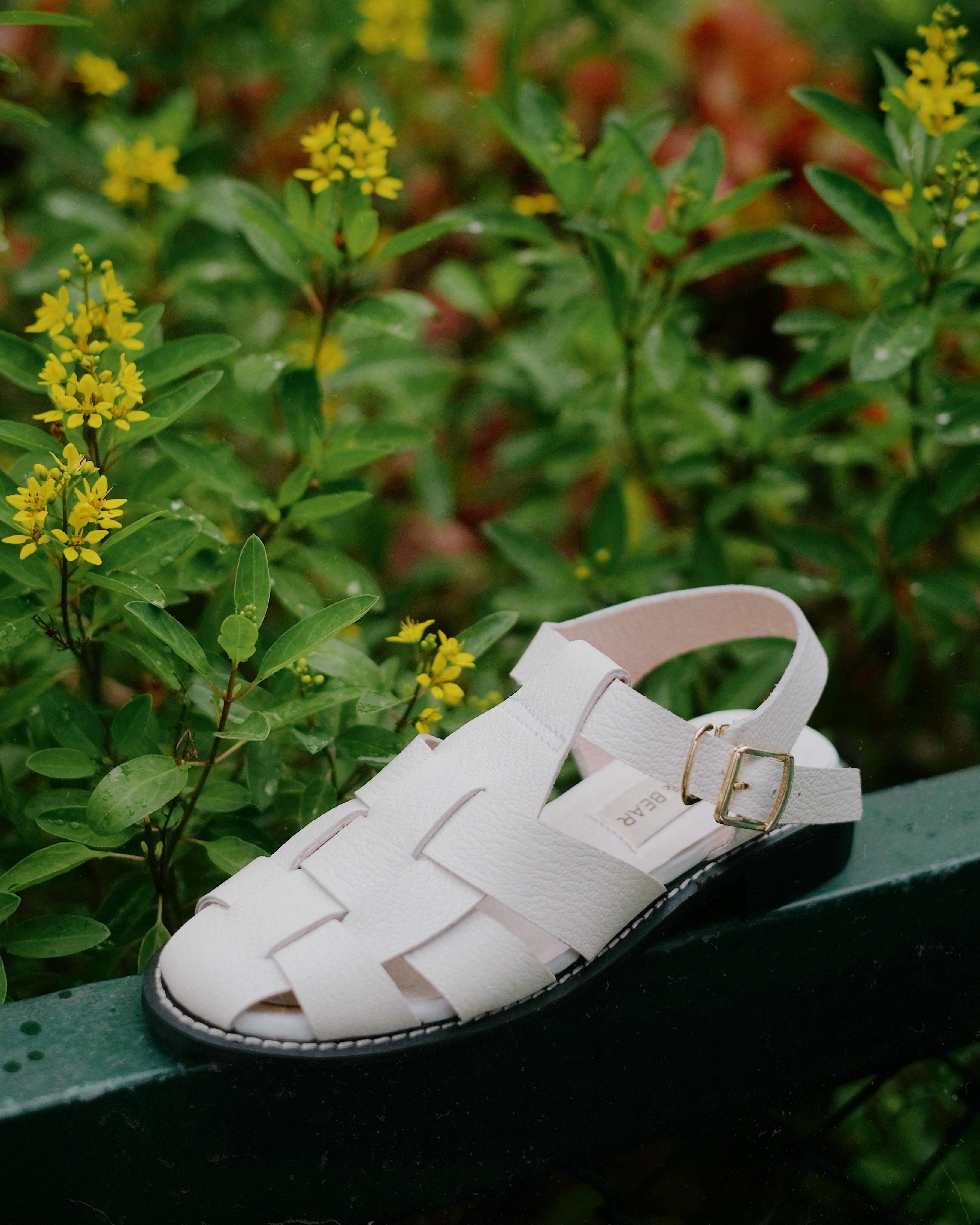 Moon White - Cora and Bear