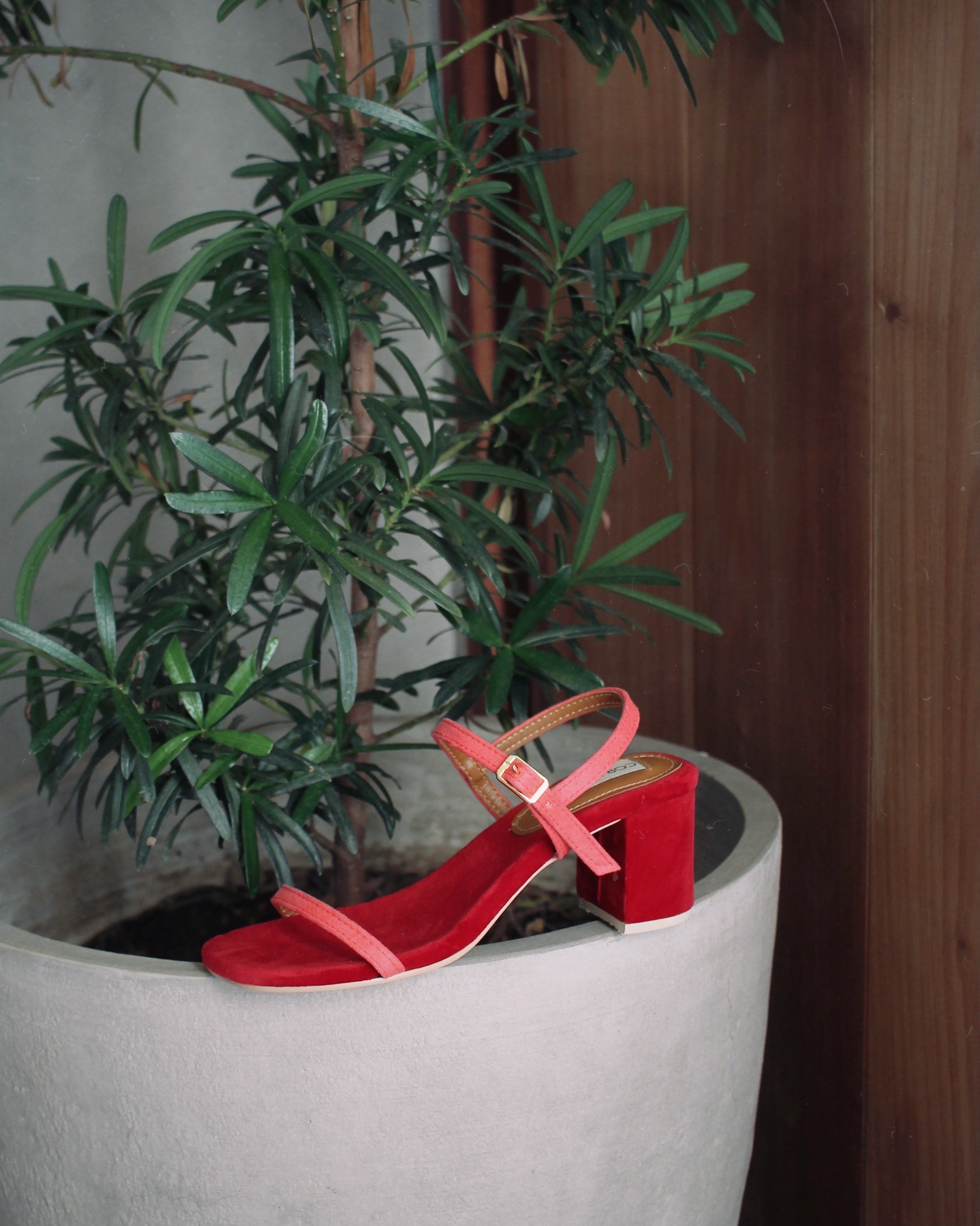 Two-Toned Salsa Strawberry - Cora and Bear