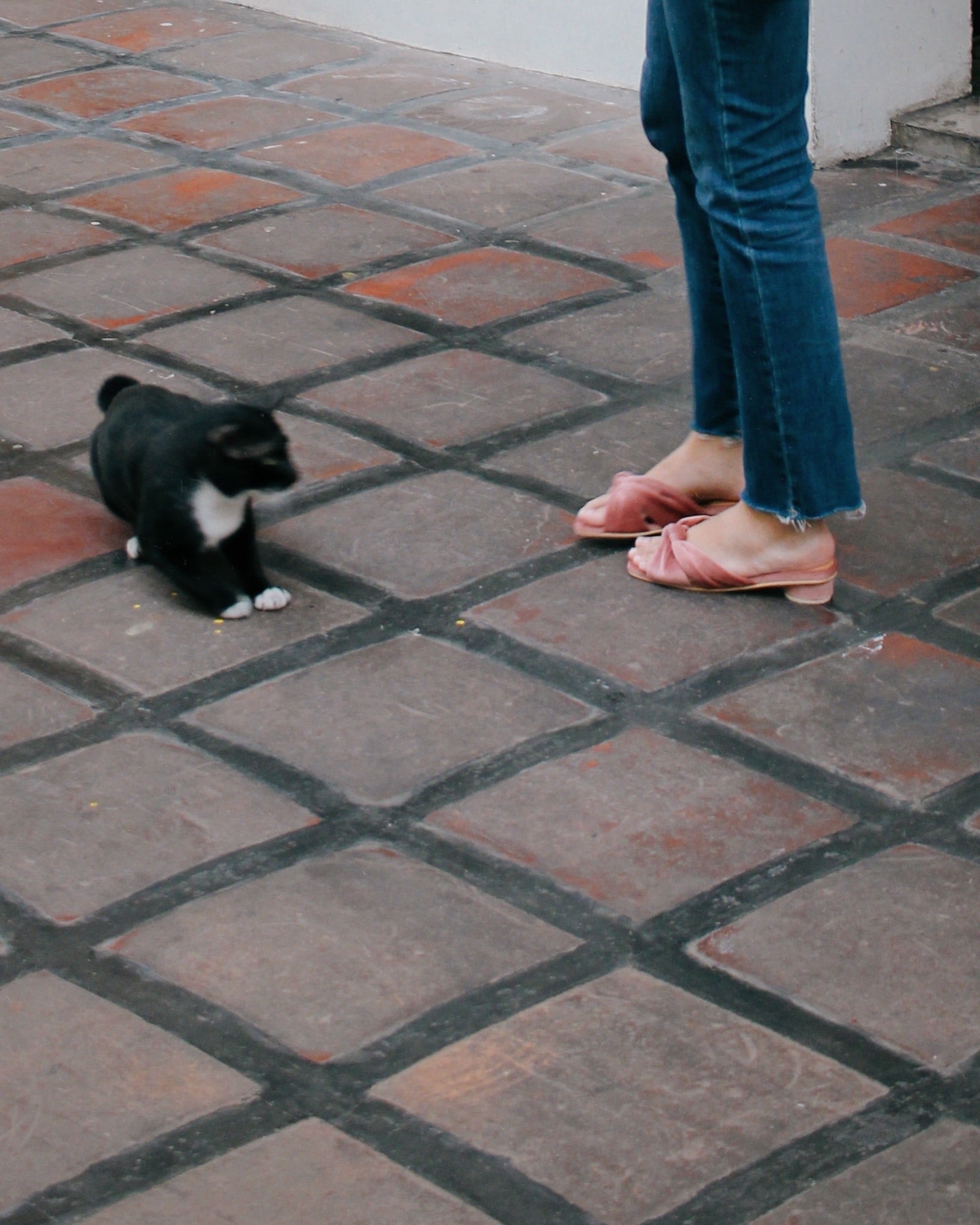 Flamenco Blossom - Cora and Bear