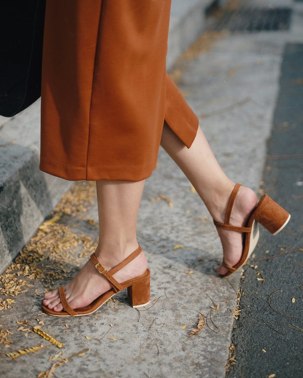 Salsa Mahogany - Cora and Bear