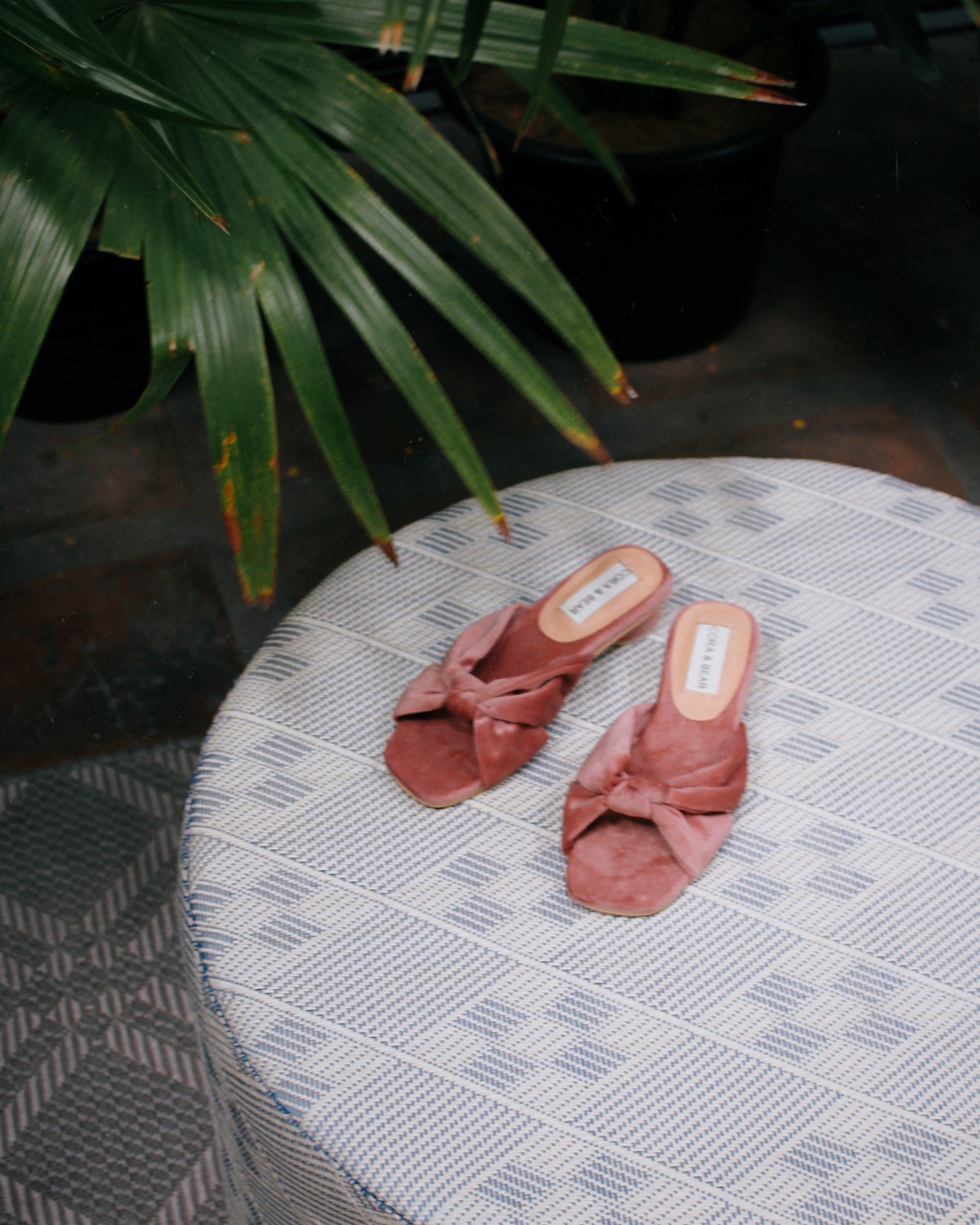 Flamenco Blossom - Cora and Bear