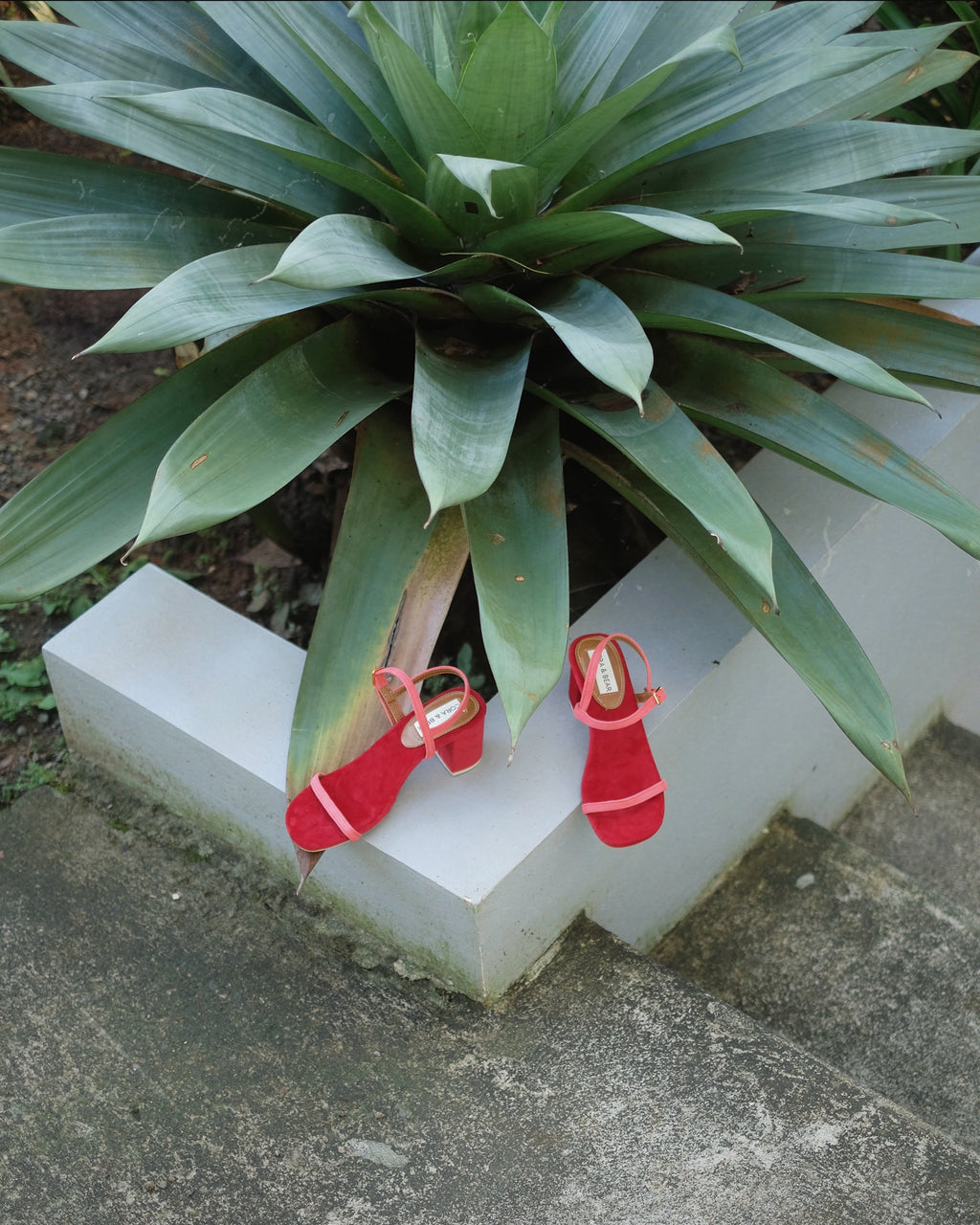 Two-Toned Salsa Strawberry - Cora and Bear