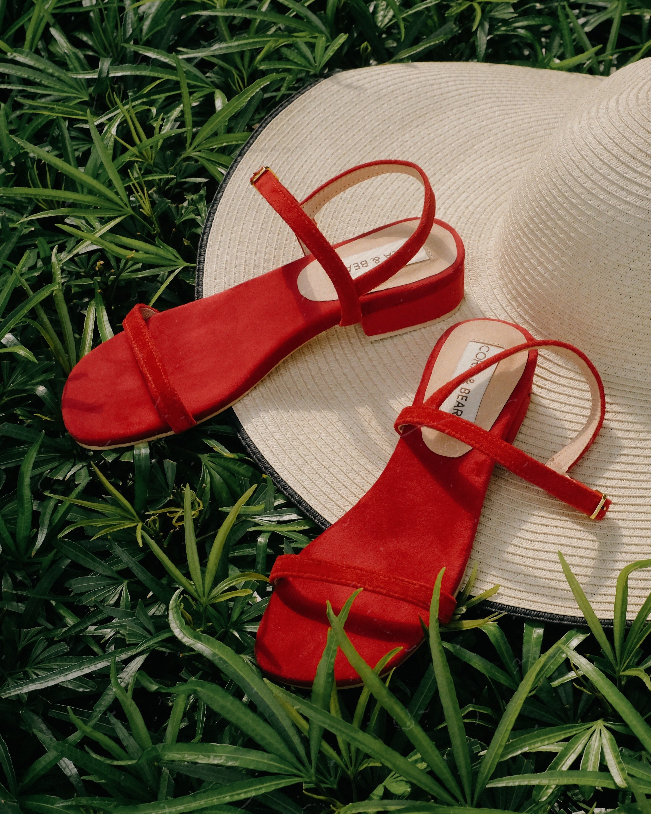 Salsita Mini Cherry - Cora and Bear