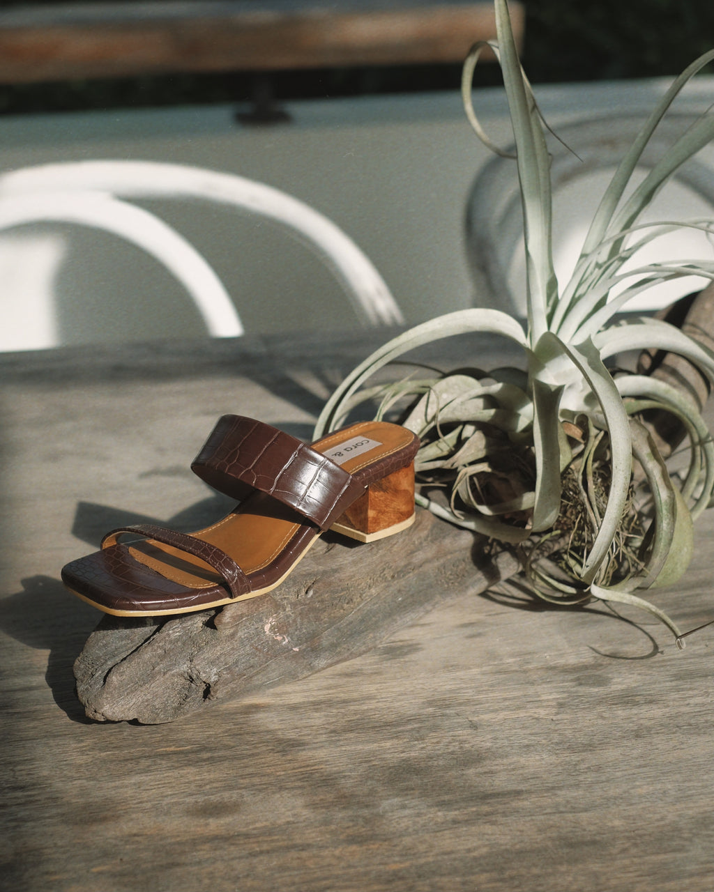 Jupiter Mahogany - Cora and Bear