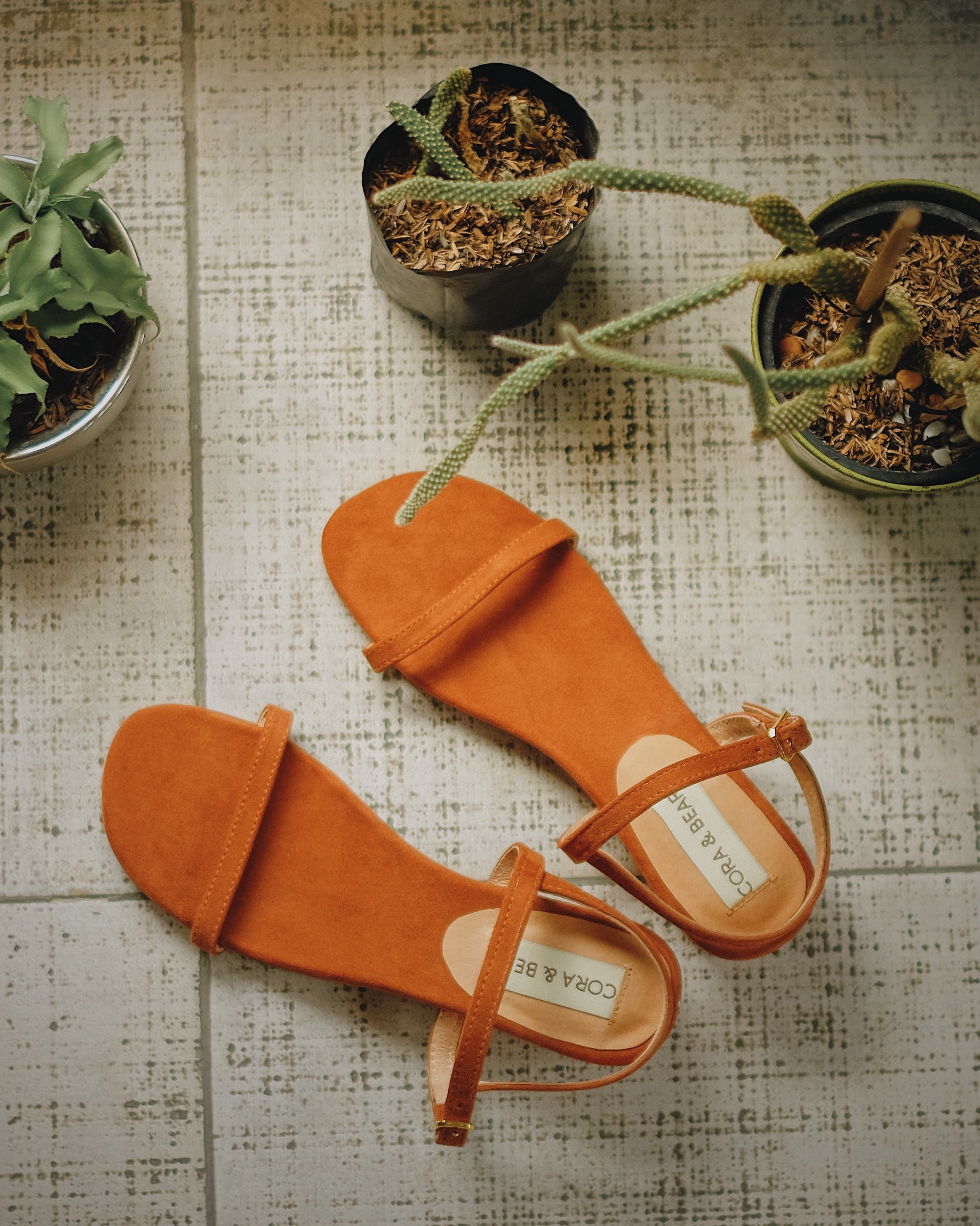 Salsita Mini Paprika - Cora and Bear