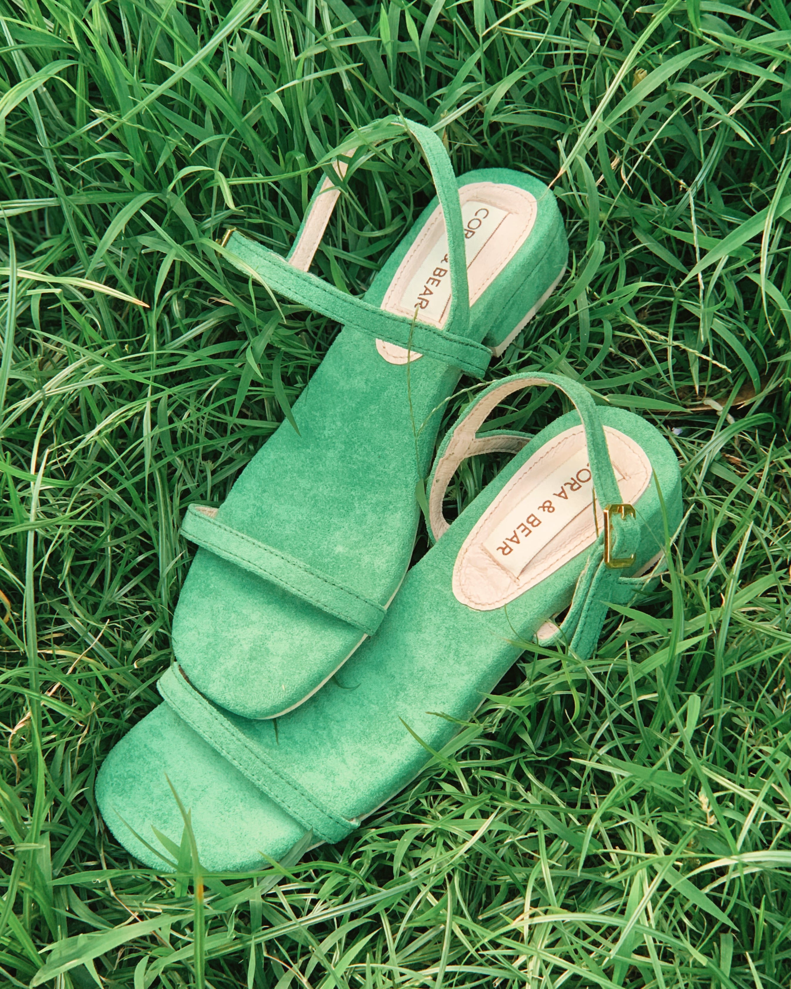 Salsita Mini Cactus - Cora and Bear