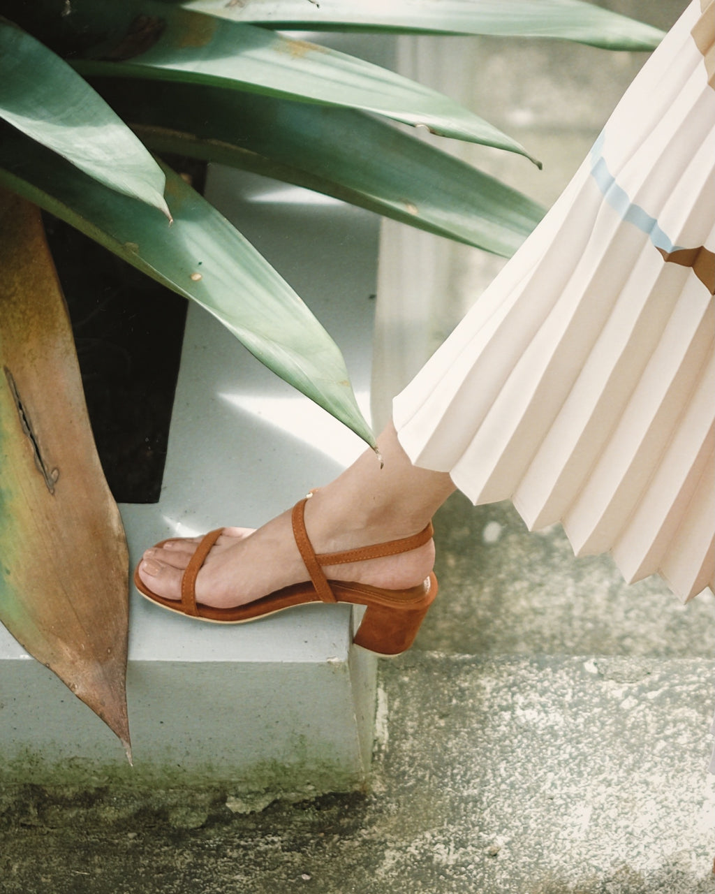 Salsa Mahogany - Cora and Bear