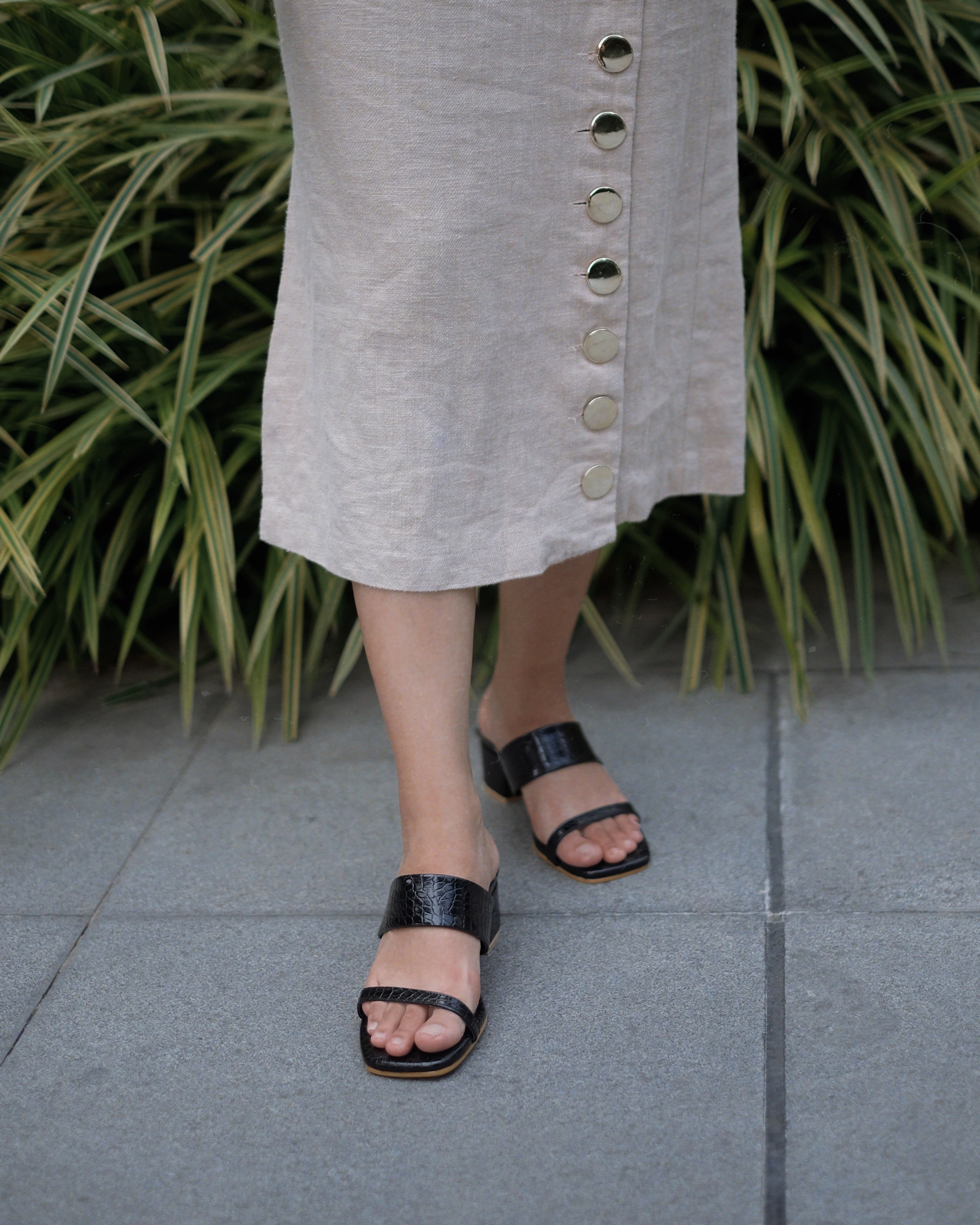 Jupiter Black - Cora and Bear